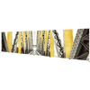 Panowall Lightbox 30ft FABRIC BANNER DISPLAY